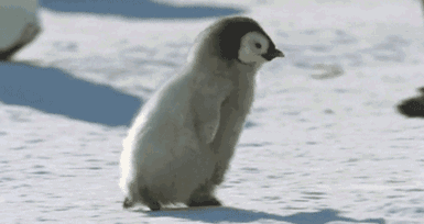 河南任性直降13℃！速凍模式已開啟！